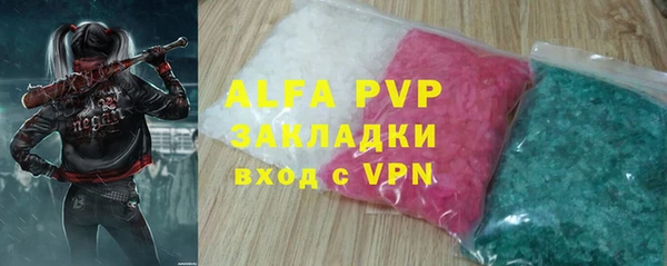 хмурый Абаза