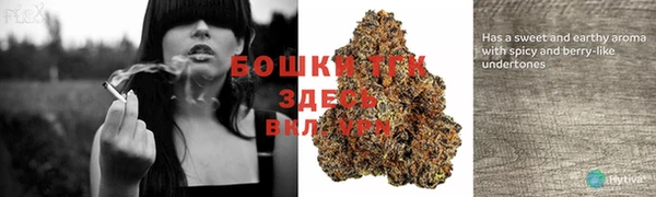 хмурый Абаза
