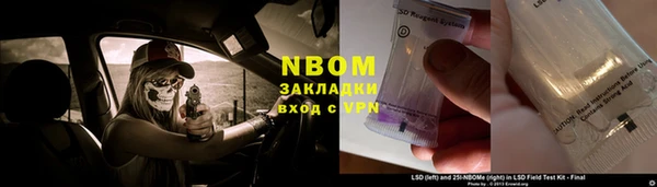 индика Алексин