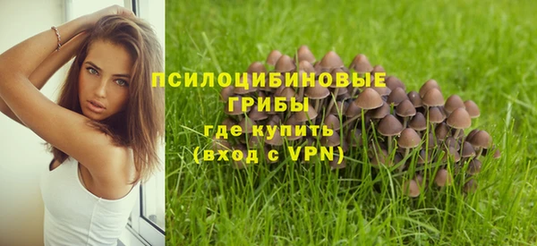 ALPHA PVP Абинск