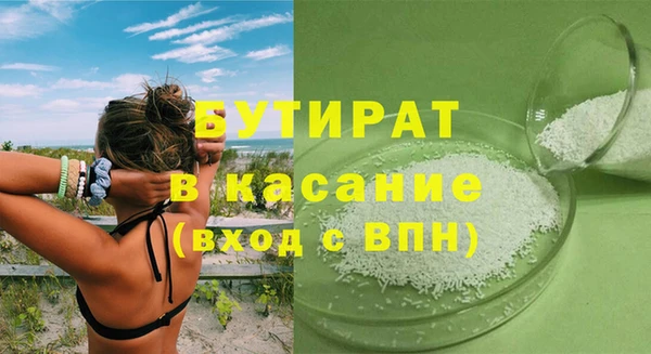 индика Алексин