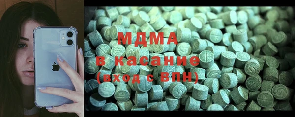 индика Алексин